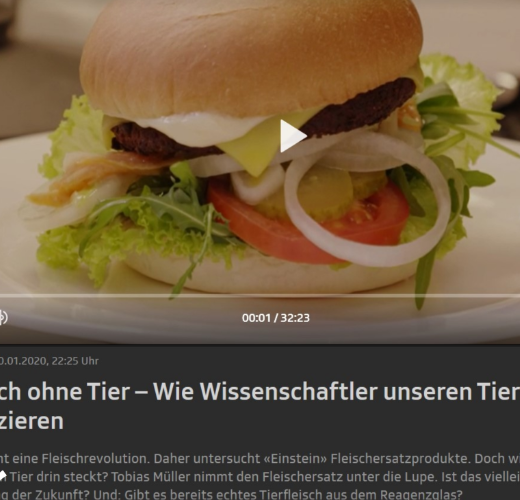 Einstein - Fleisch ohne Tier